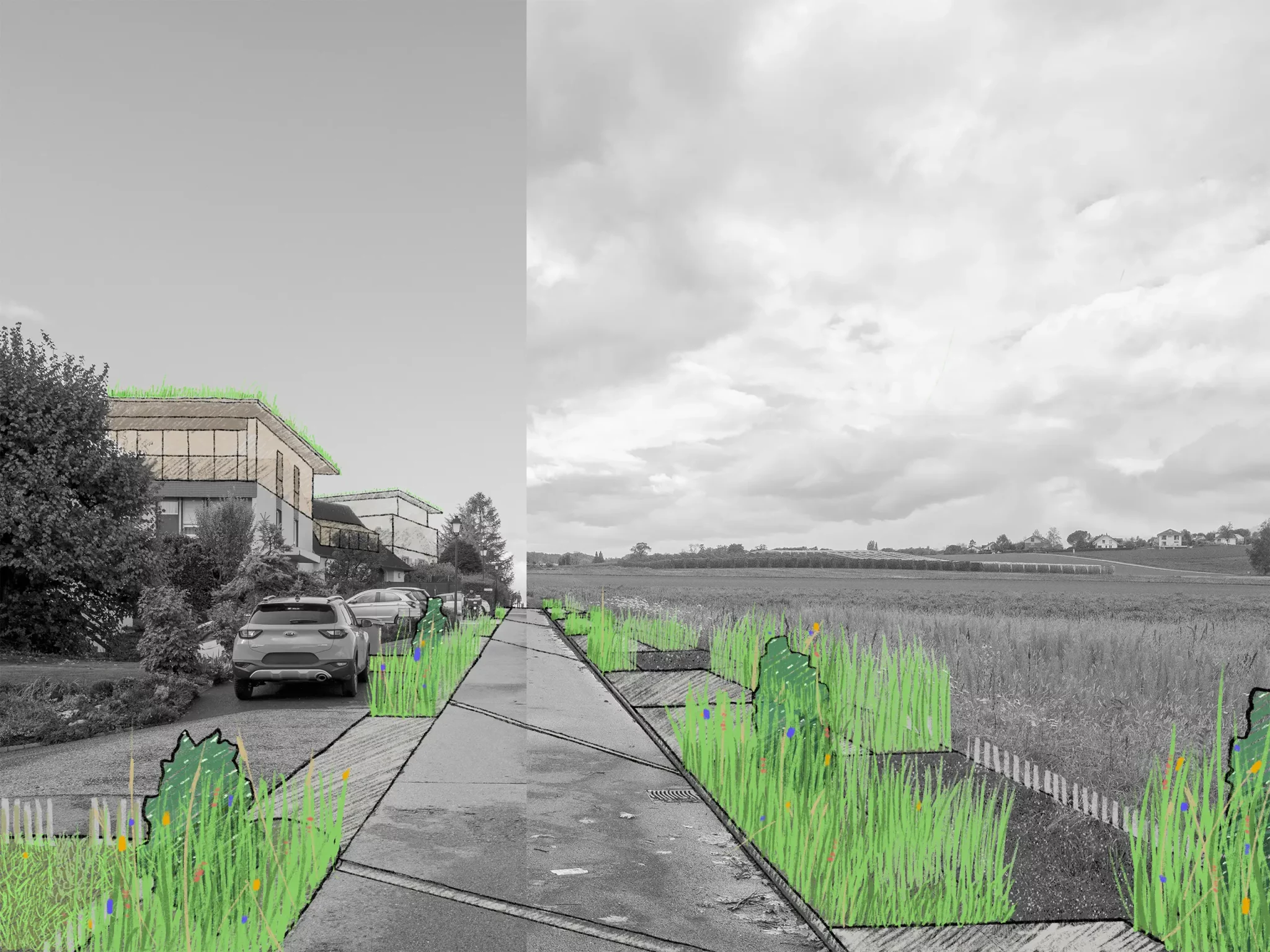 La végétation forme de nouveaux seuils…