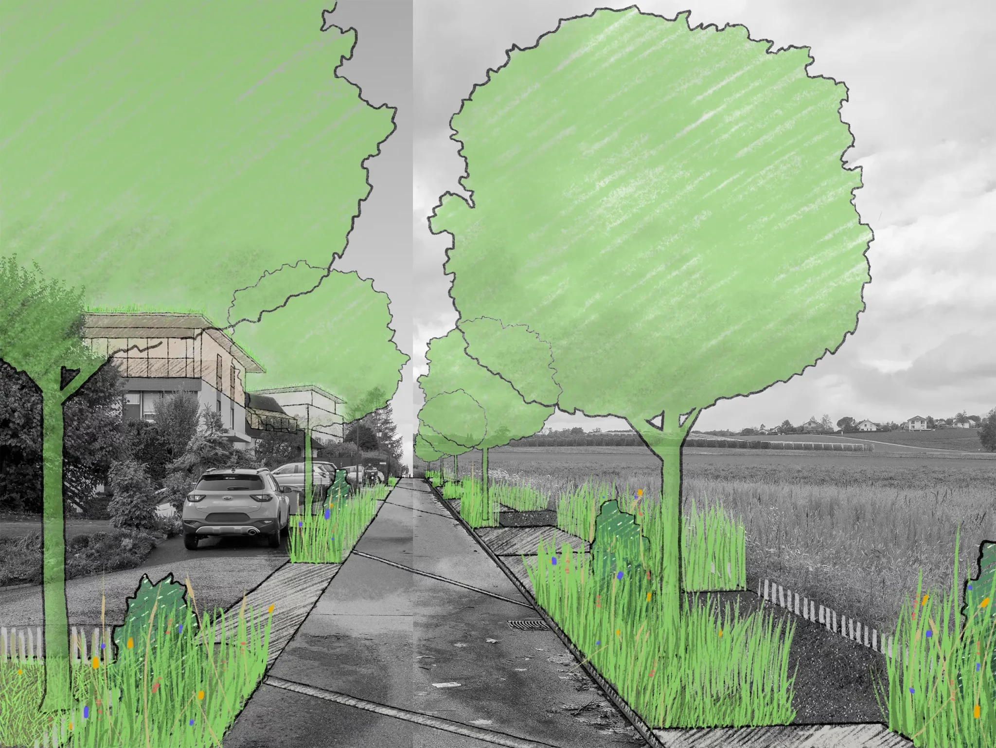 La plantation d’arbres constitue un filtre végétal et améliore la transition avec la campagne. Le quartier s’intègre dans le paysage et sa physionomie se redessine. La rue est ombragée, le confort climatique s’améliore et la biodiversité progresse…