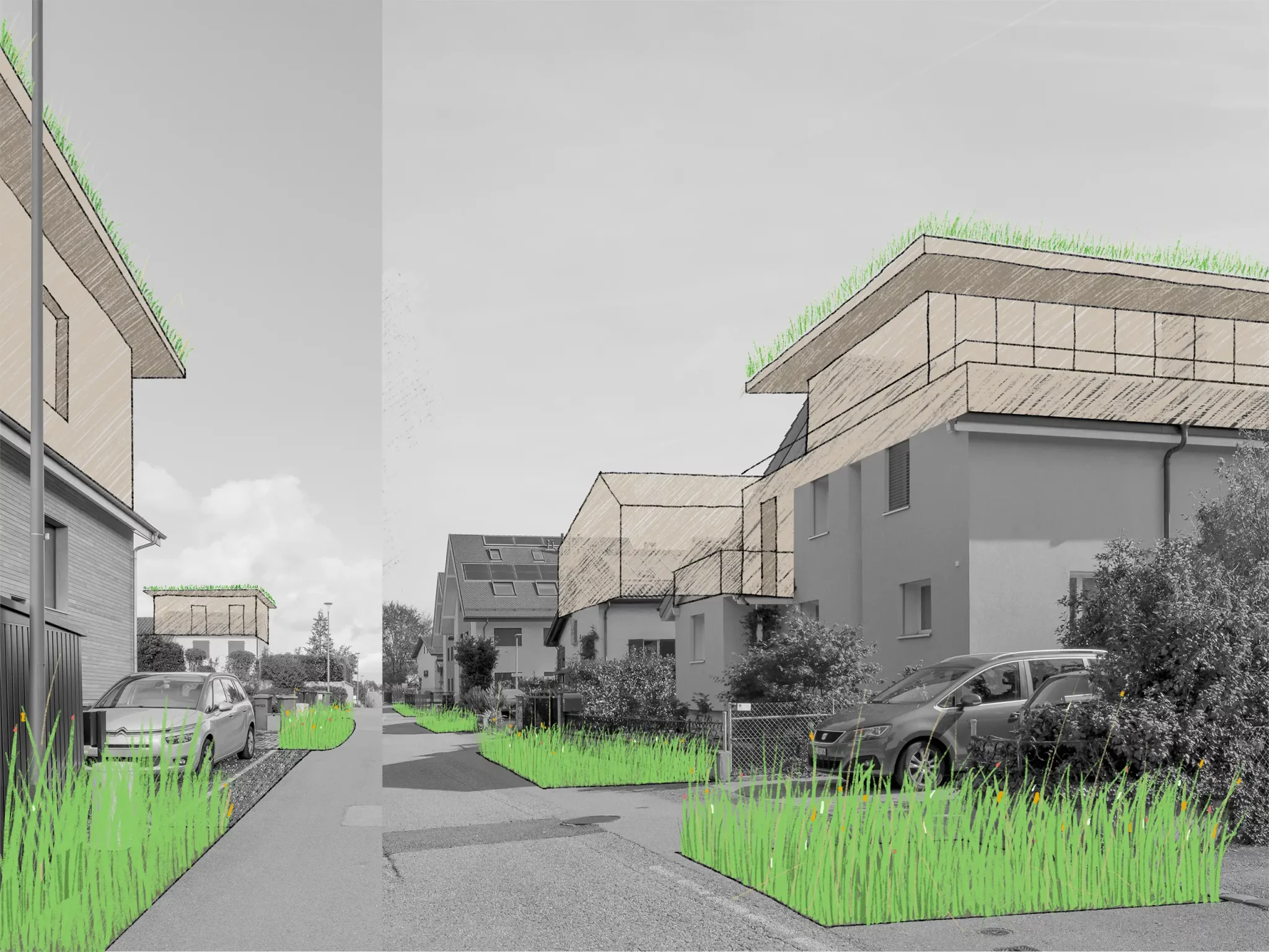 La végétation forme des seuils entre la rue et les maisons…