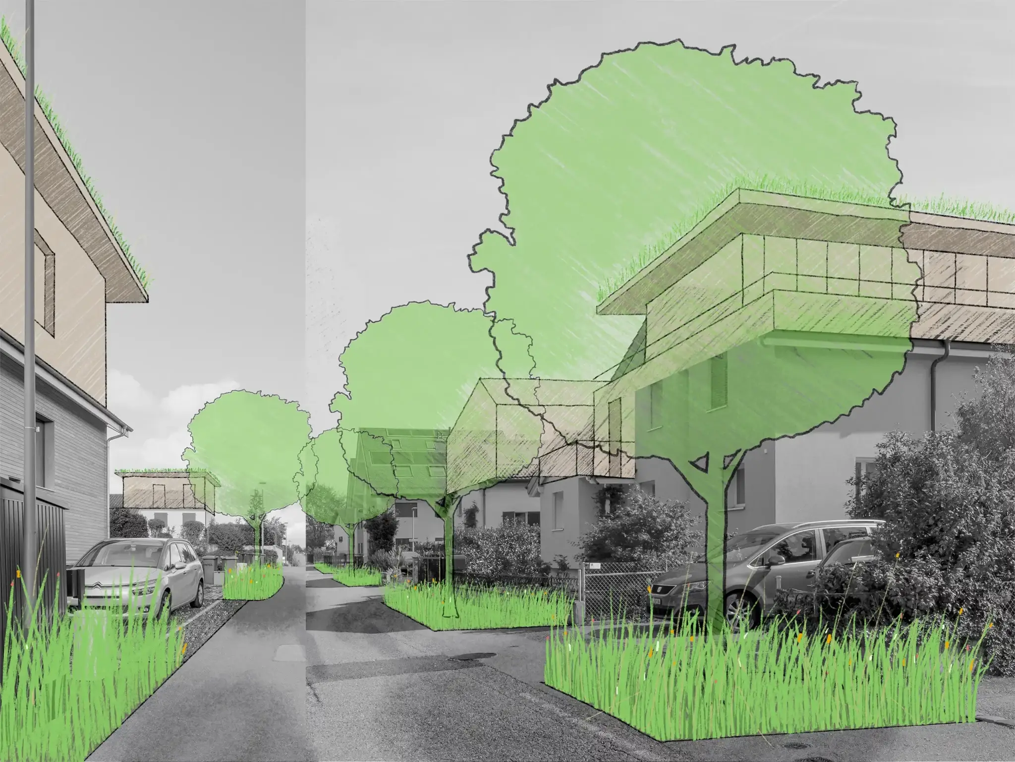 La plantation d’arbres améliore le confort climatique. Les oiseaux y nichent et l’ambiance sonore change. La rue ombragée suscite de nouveaux usages…