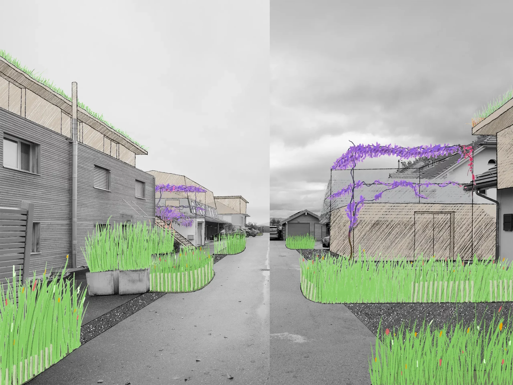 La végétation forme des seuils entre la rue et les maisons…